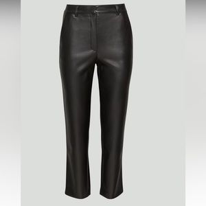 Aritzia Babaton Command Leather Pant